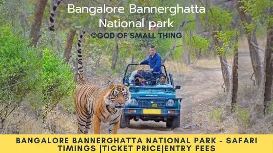 Bangalore Bannerghatta National park