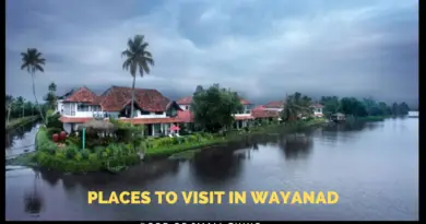 Wayanad - Complete Travel Guide