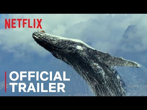 Our Planet | Official Trailer [HD] | Netflix
