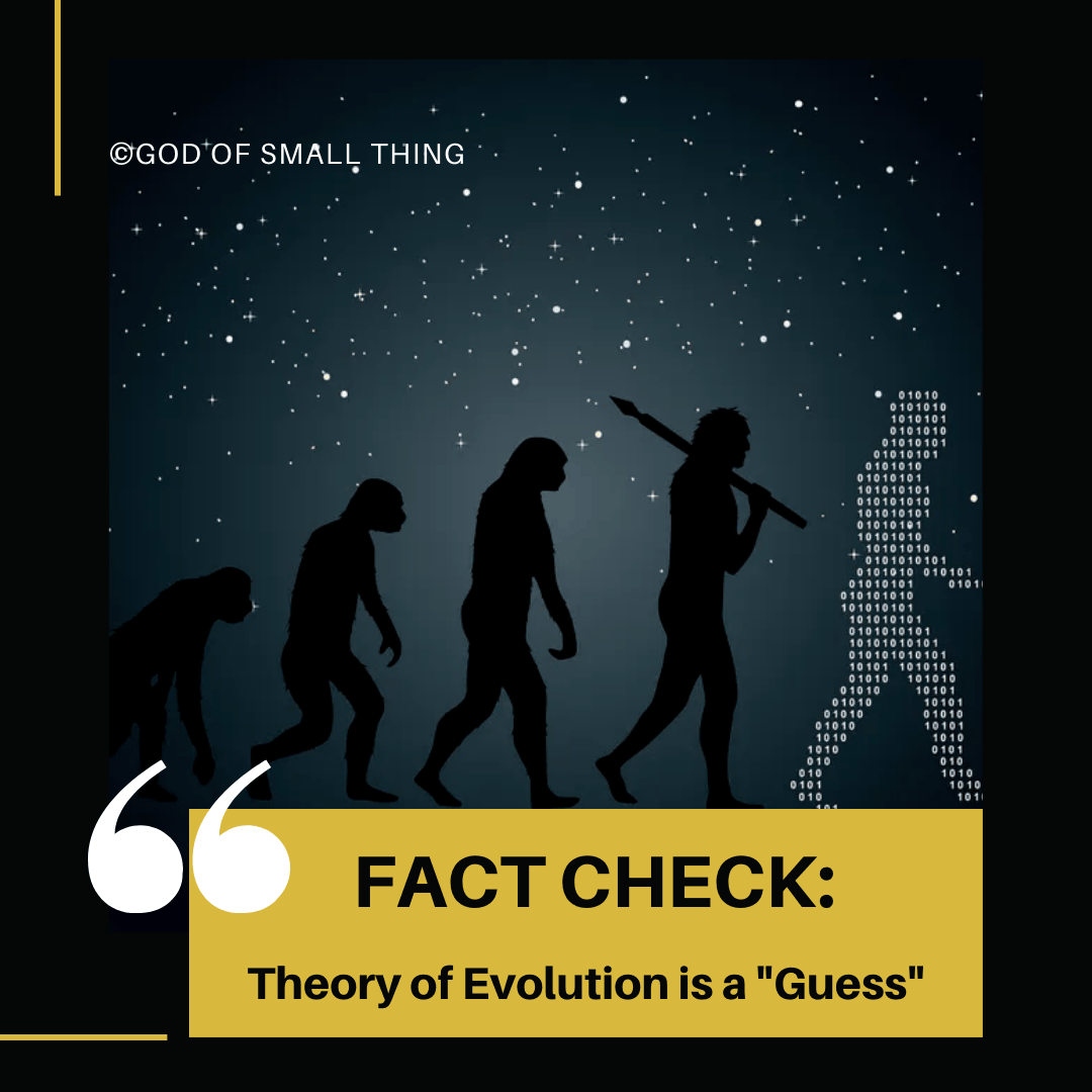 Fact Check:  Theory of Evolution is a "Guess"