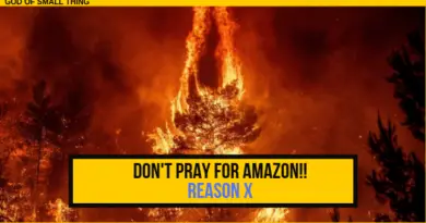 Complete Story of Amazon rainforest fire: When, why and how Amazon Rain Forest catched fire