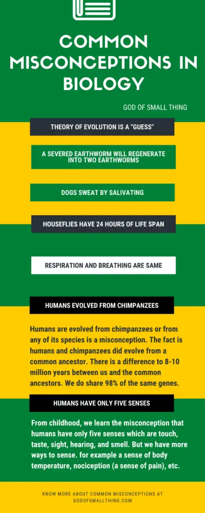 Common Misconceptions in Biology 