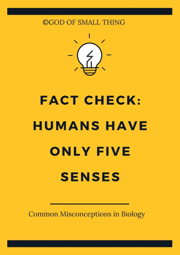 Common Misconceptions in Biology: Humans have only five senses