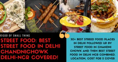 Best Street Food in Delhi