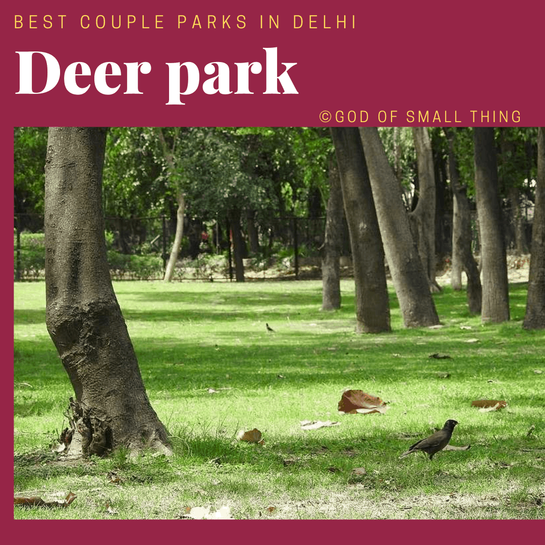Best couple park in Delhi: Deer Park Hauz Khas 