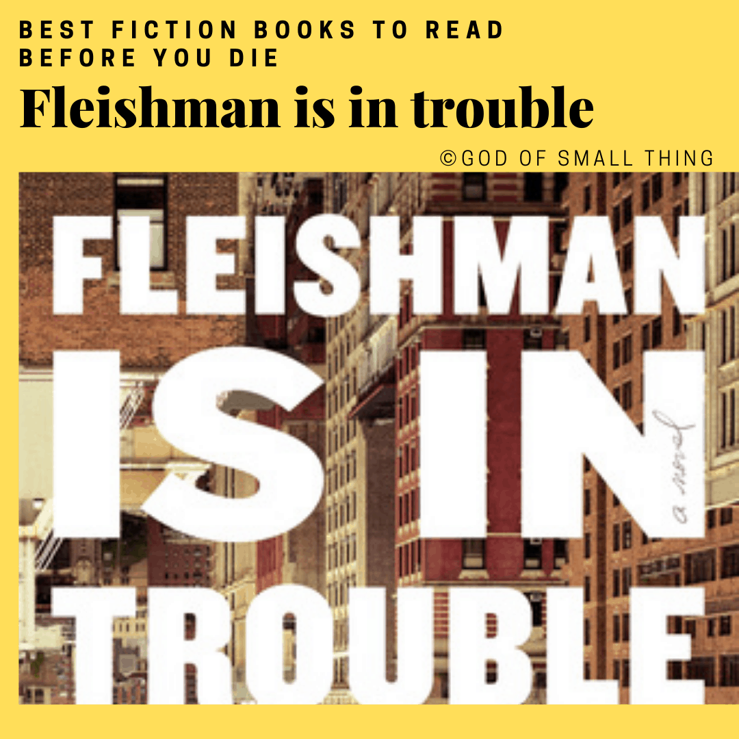 best fiction books: Fleishman is in trouble by Taffy Brodesser-Akner