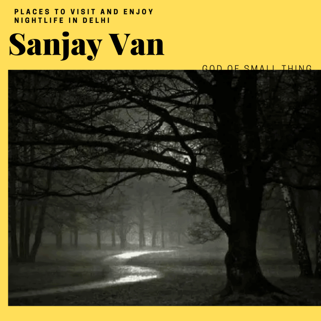 Haunted places in Delhi: Sanjay Van