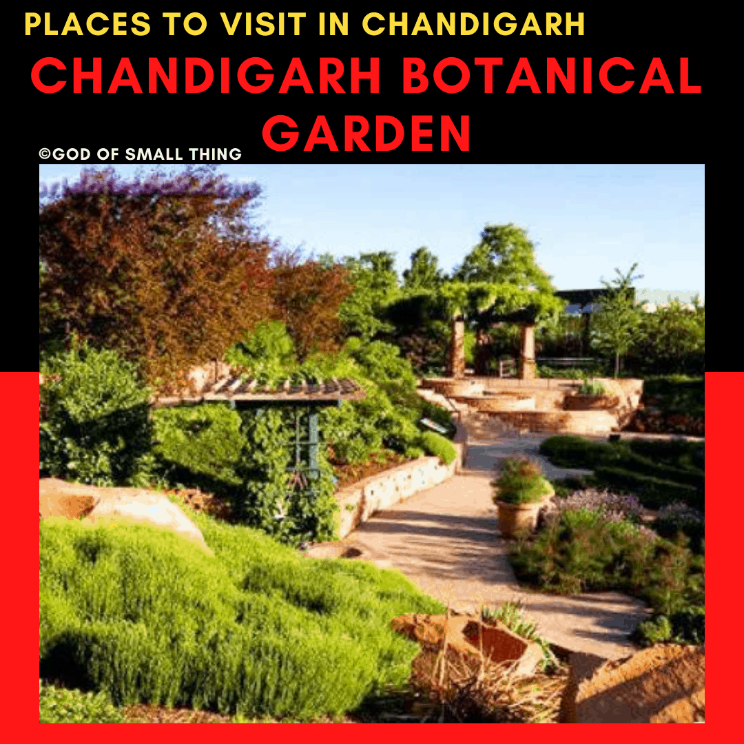 Chandigarh botanical garden: Chandigarh botanical garden