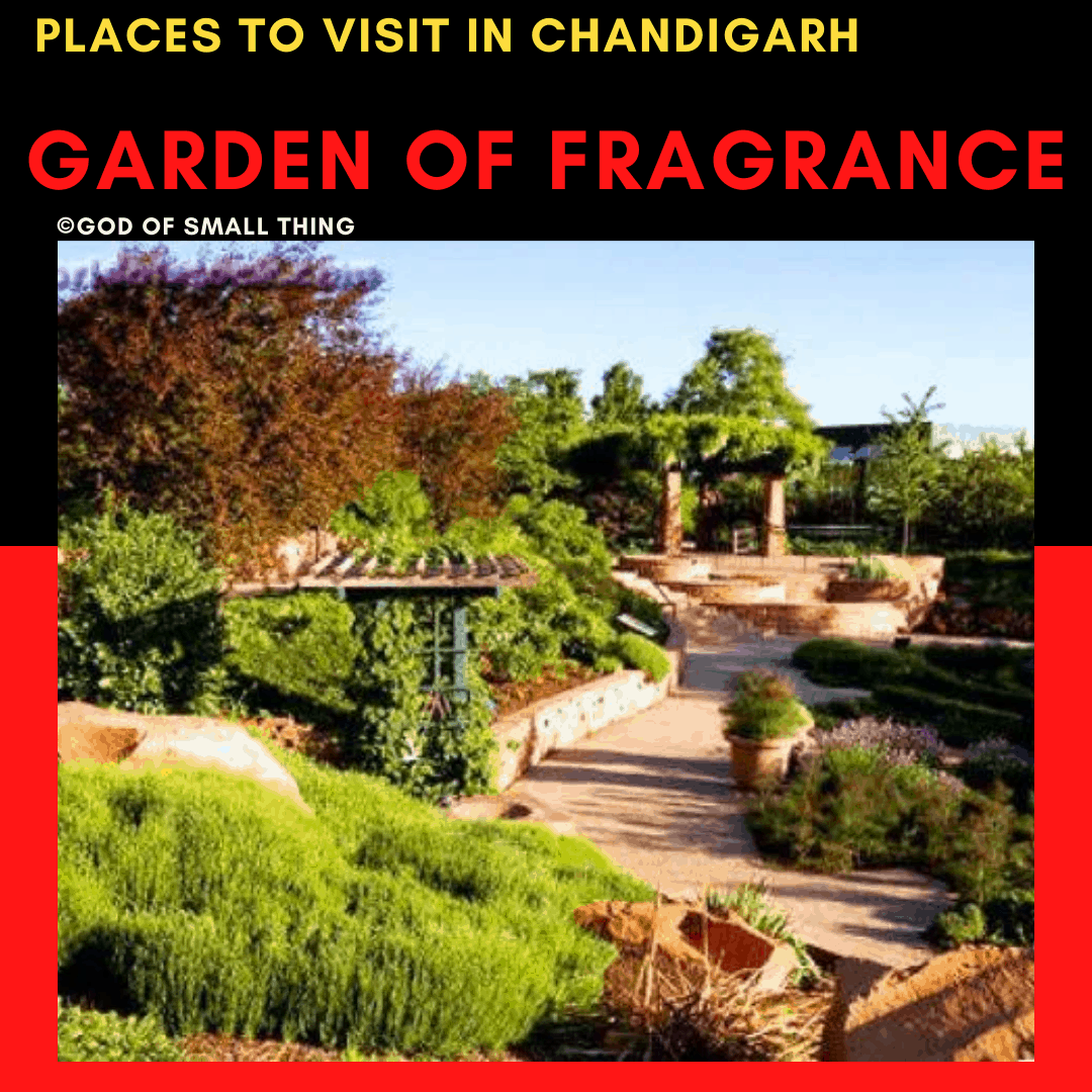Garden of fragrance: Places to Visit in Chandigarh Garden of fragrance