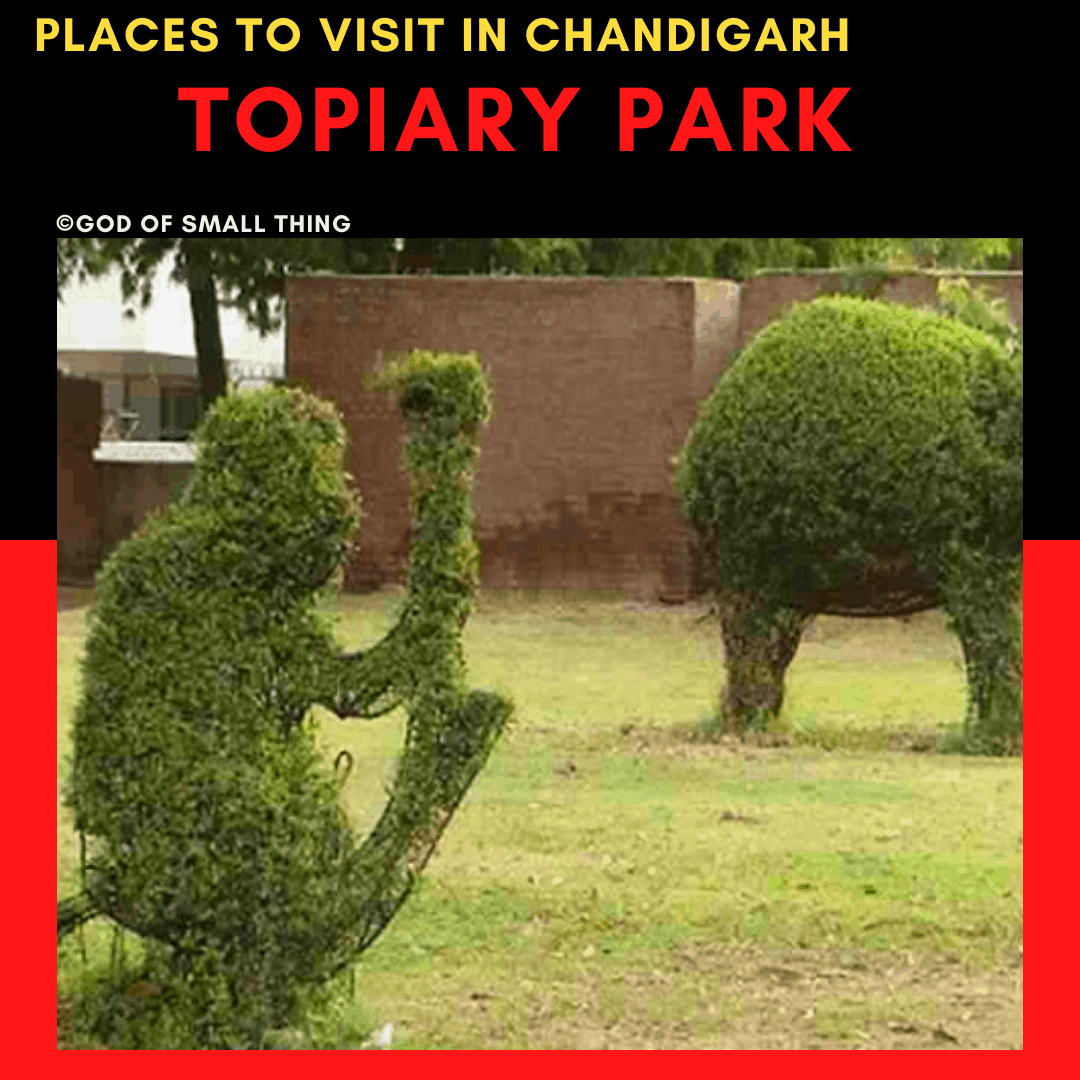 Topiary park: Places to Visit in Chandigarh 