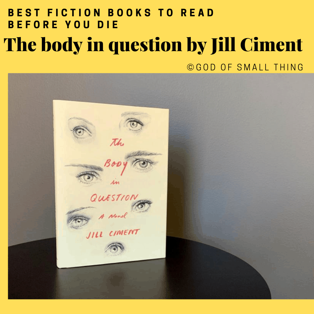 best fiction books: The body in question by Jill Ciment