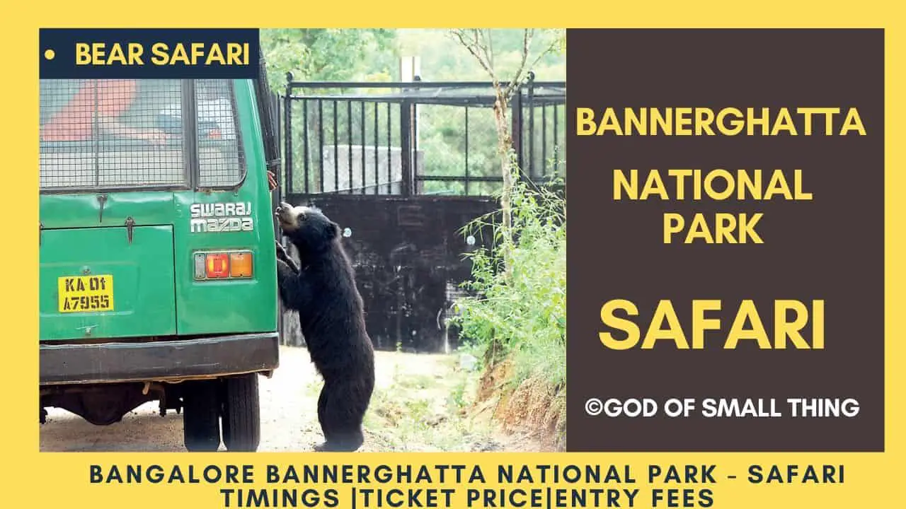 Bannerghatta National Park Bear safari