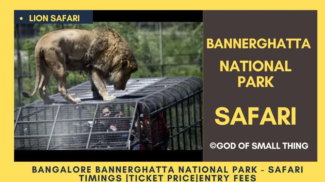 bannerghatta national park jungle safari price