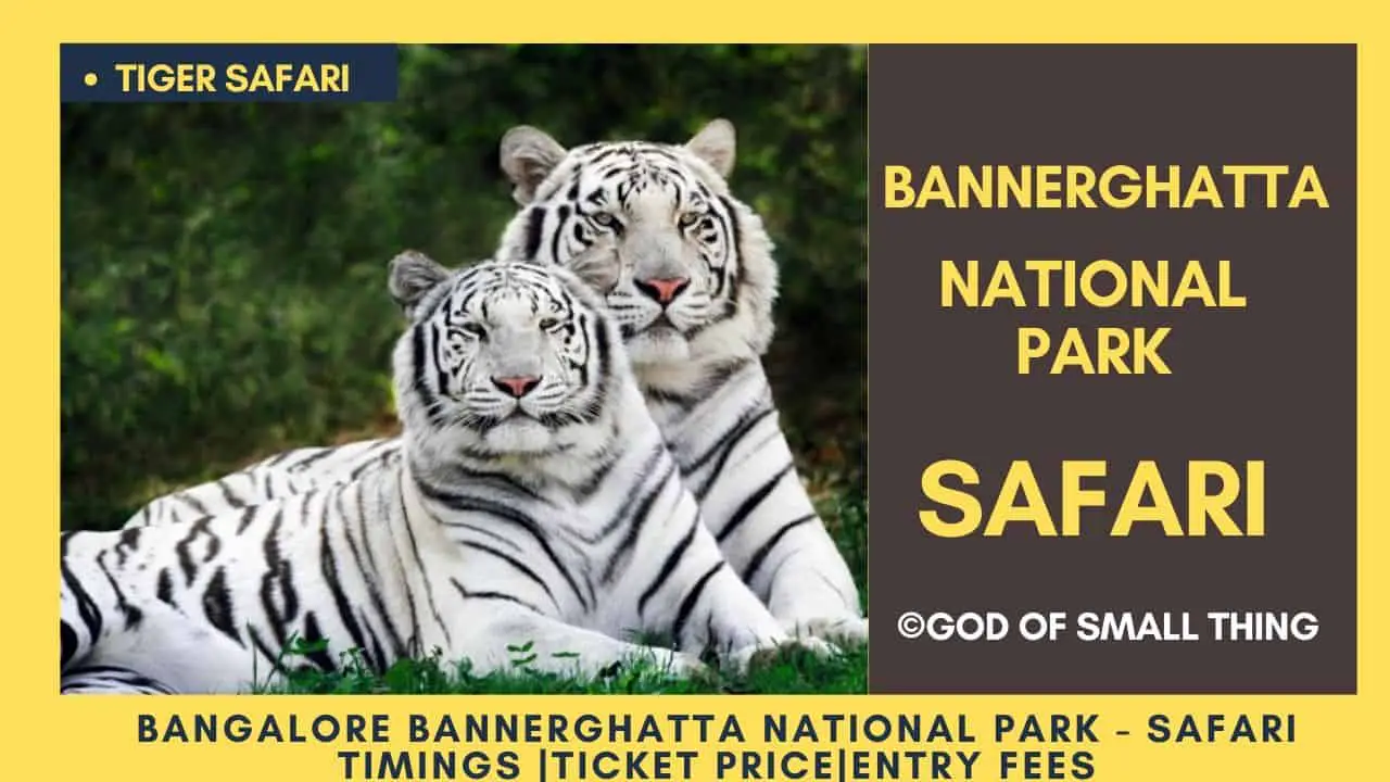 Bannerghatta National Park Tiger safari