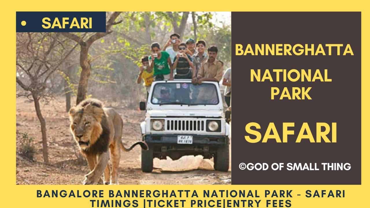 Bannerghatta National Park safari