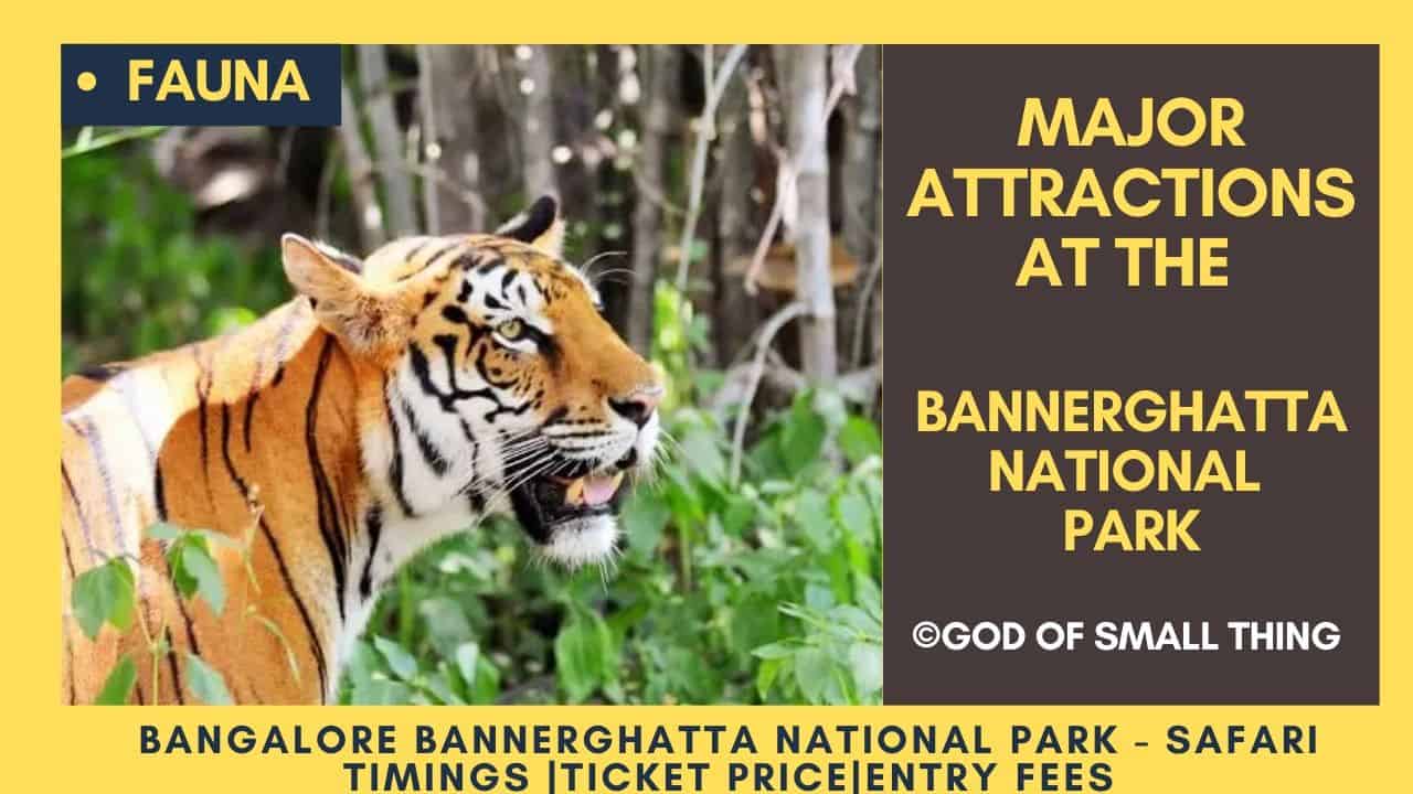 Bannerghatta National park Fauna