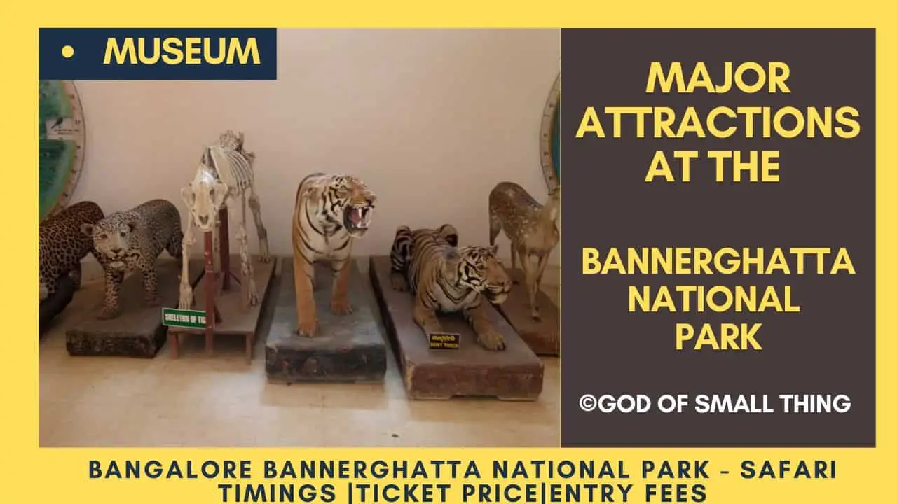 Bannerghatta National park Museum