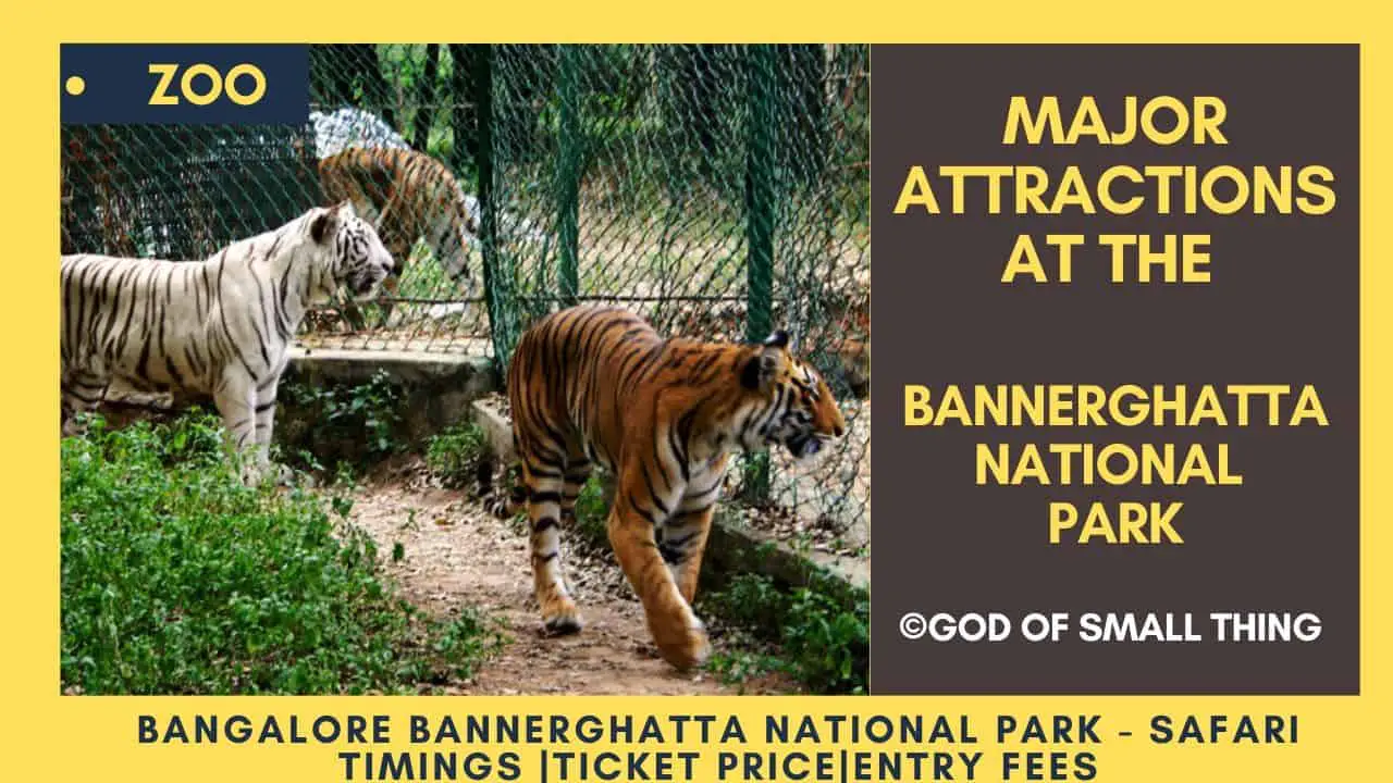 Bannerghatta National park Zoo