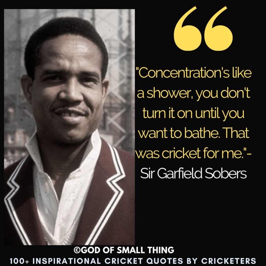 Inspirational Cricket Quotes by cricketers