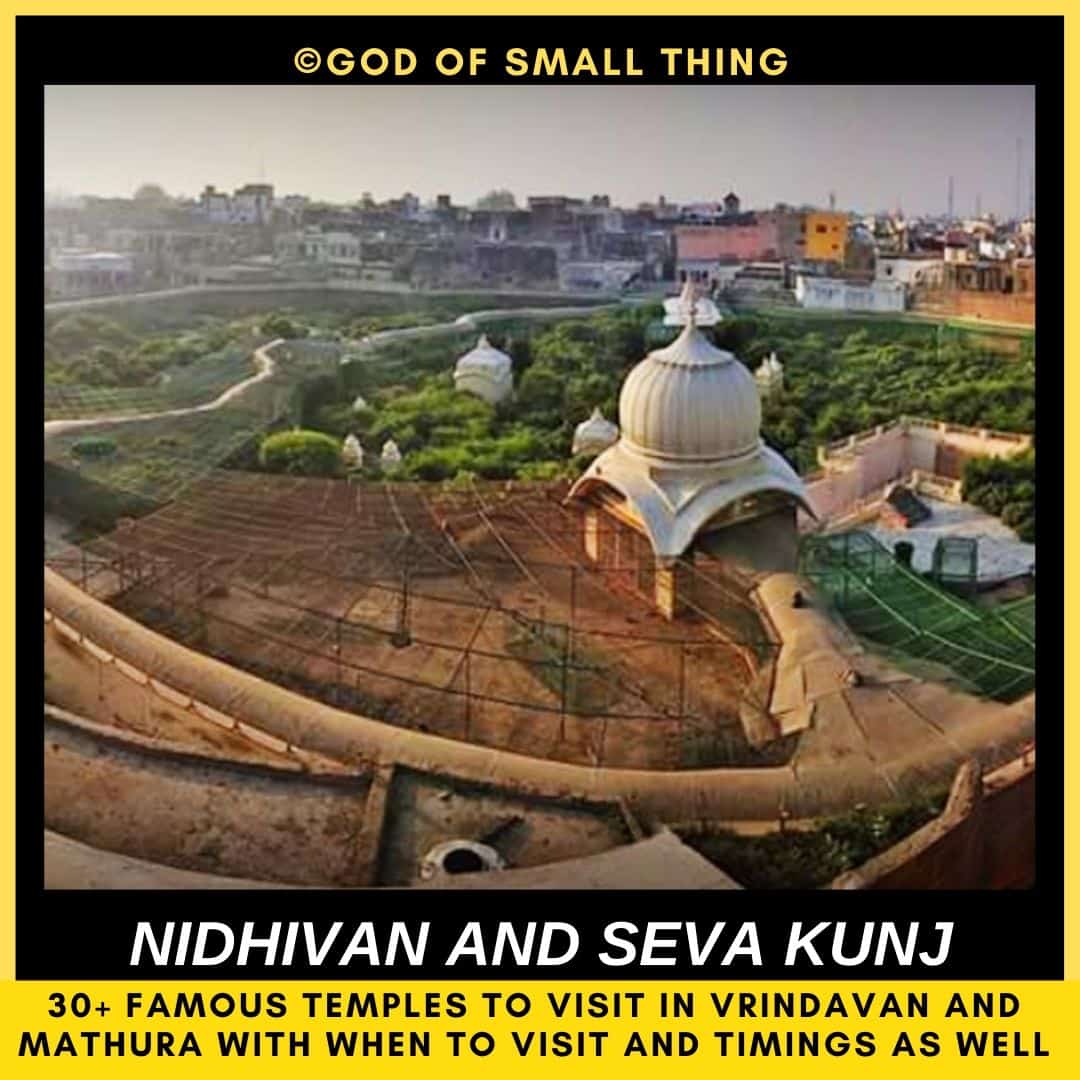 temples in vrindavan Nidhivan and Seva Kunj Vrindavan