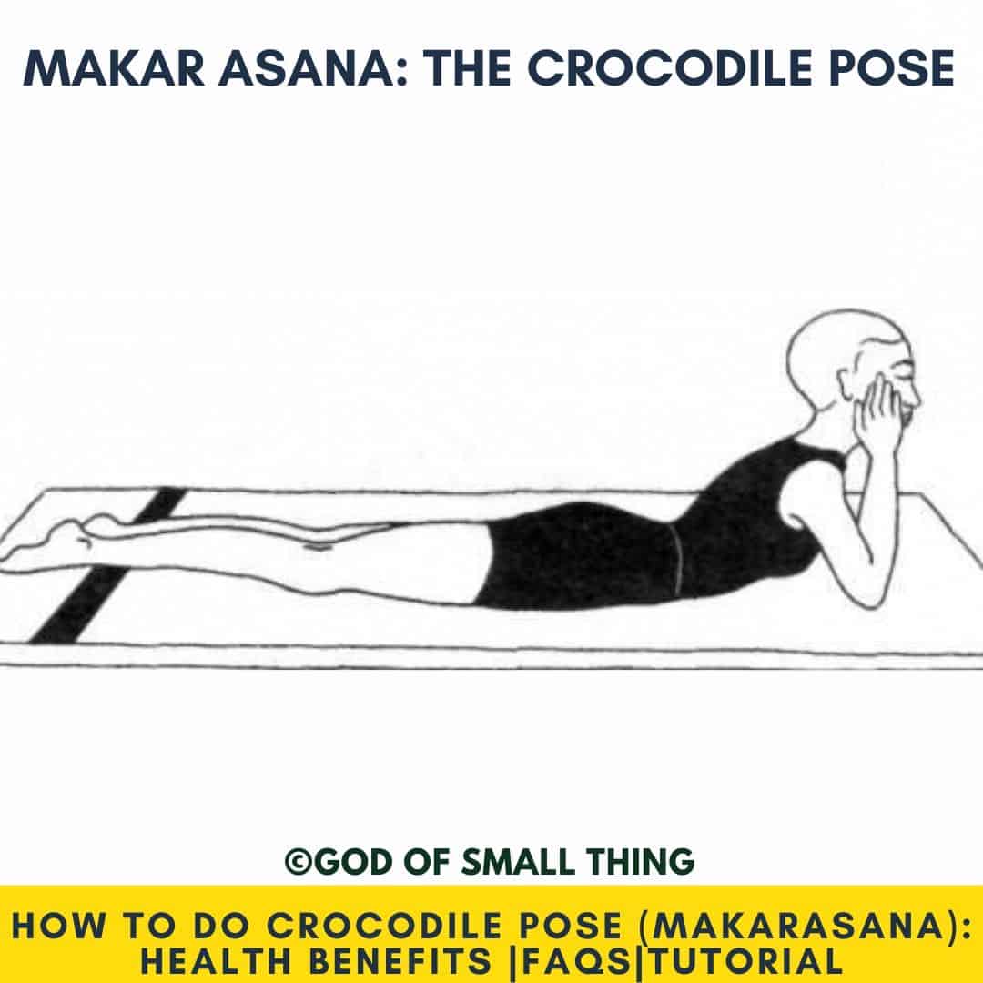 Yoga Asanas: MakarAsana