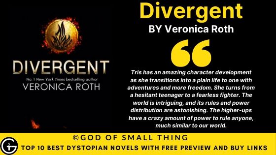 Best Dystopian Books: Divergent book review