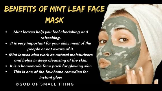 home made face pack: Mint leaf face mask