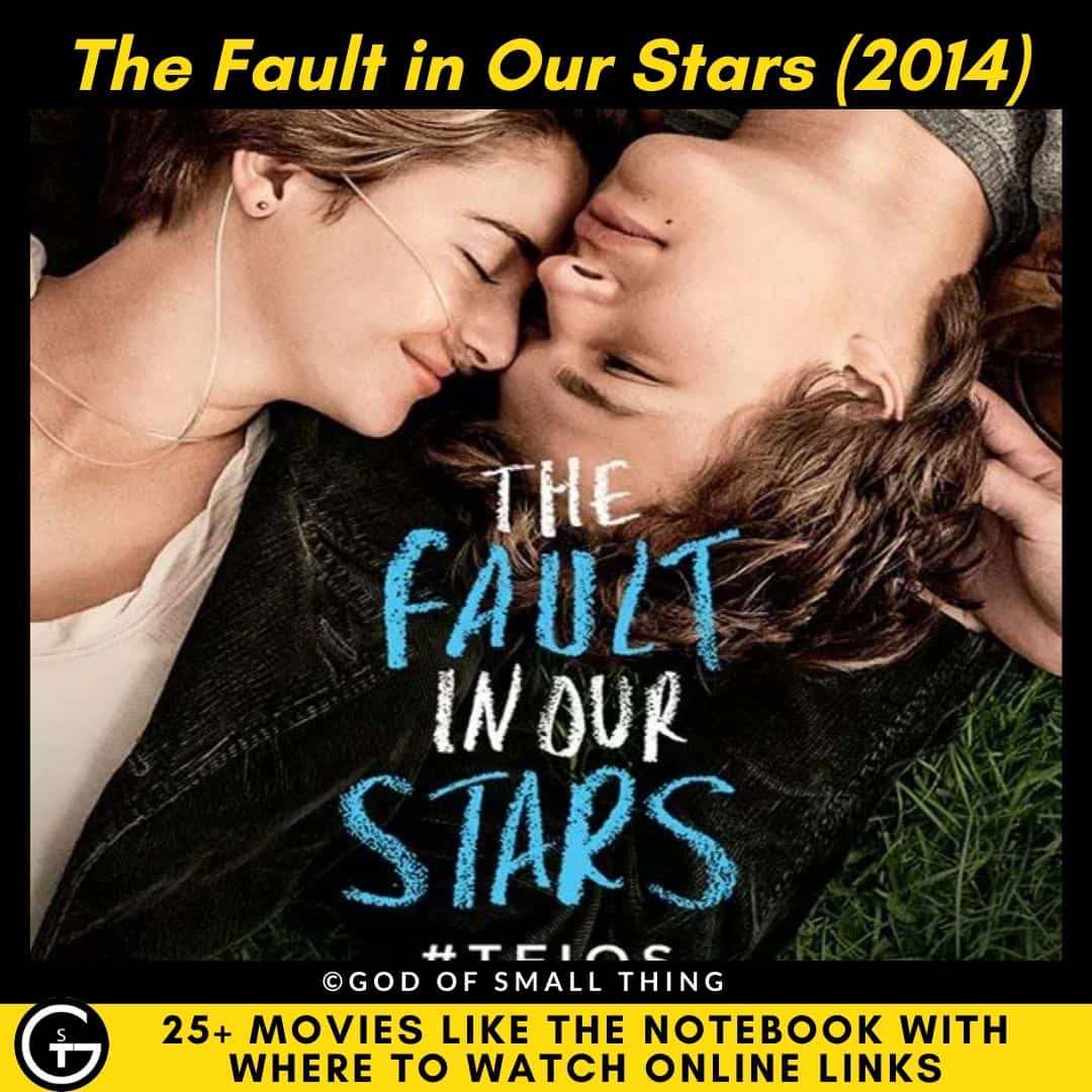 Movies Like The Notebook The Fault in Our Stars
