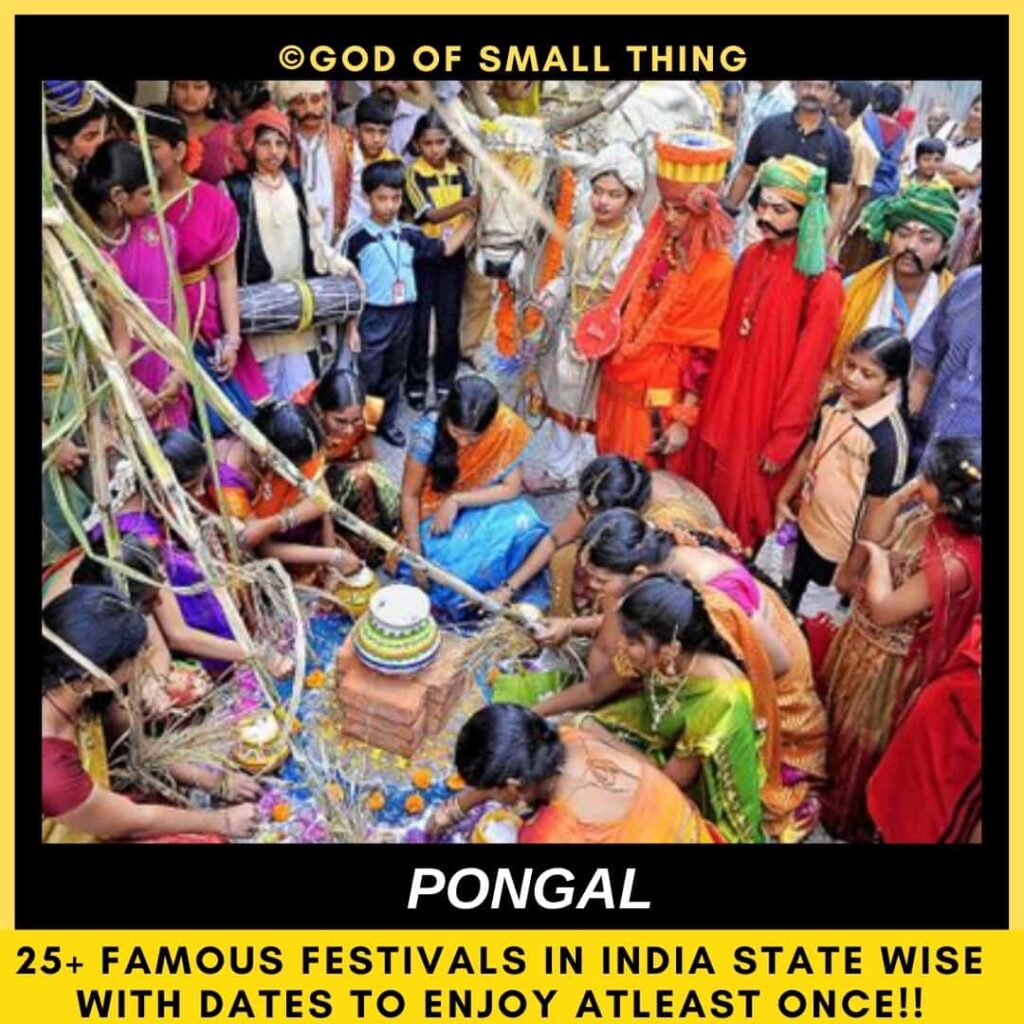 Indian festivals Pongal India