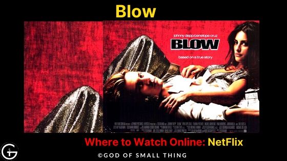 Movies like the wolf of wall street on netflix: Blow Movie Online