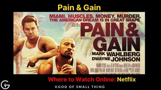 Movies similar to wolf of wall street: Pain & Gain Movie Online