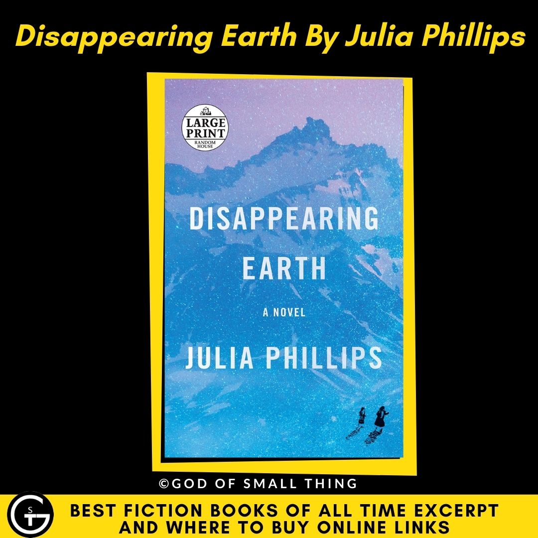 Best fiction book Disappearing Earth