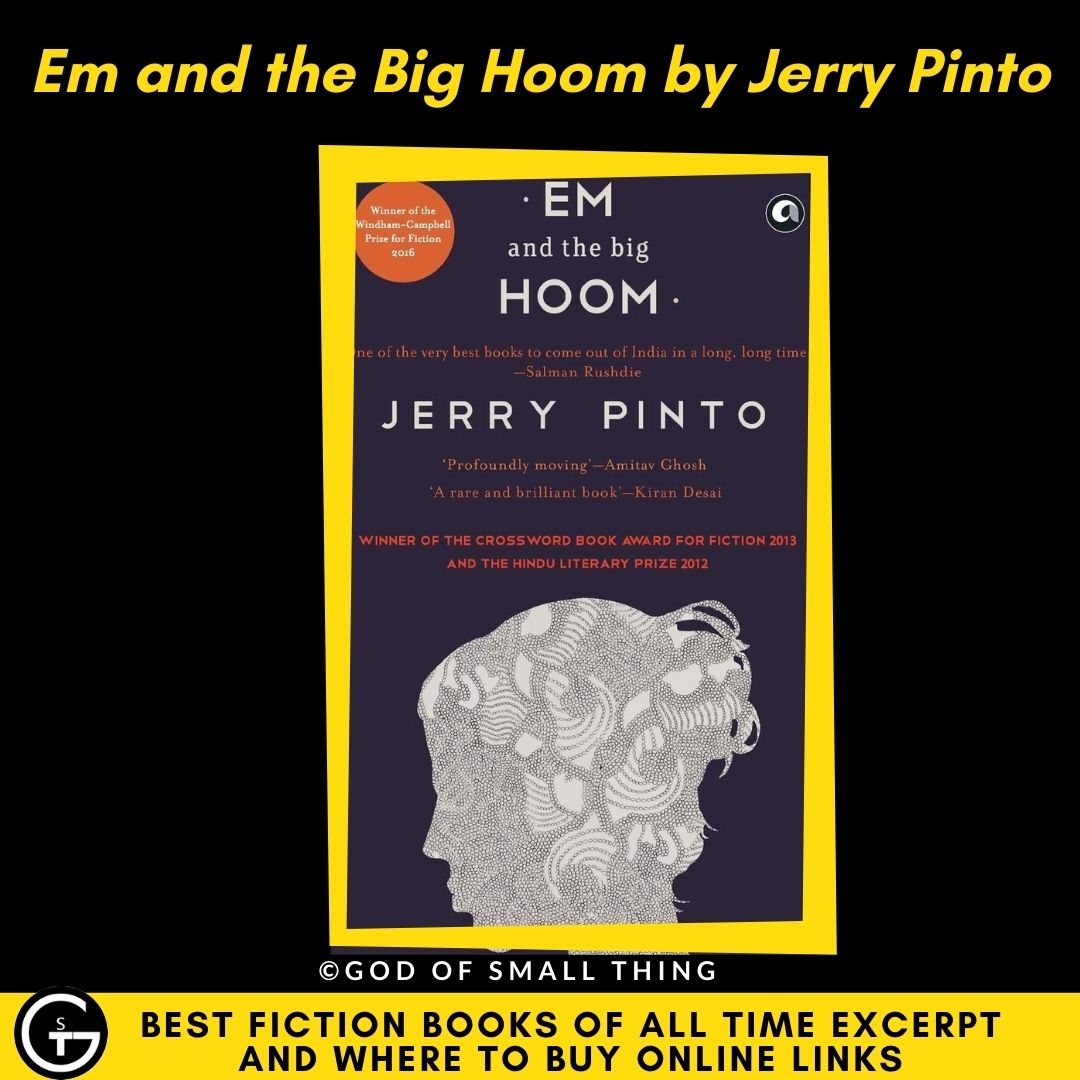 Best fiction books of all Time: Em and the Big Hoom by Jerry Pinto