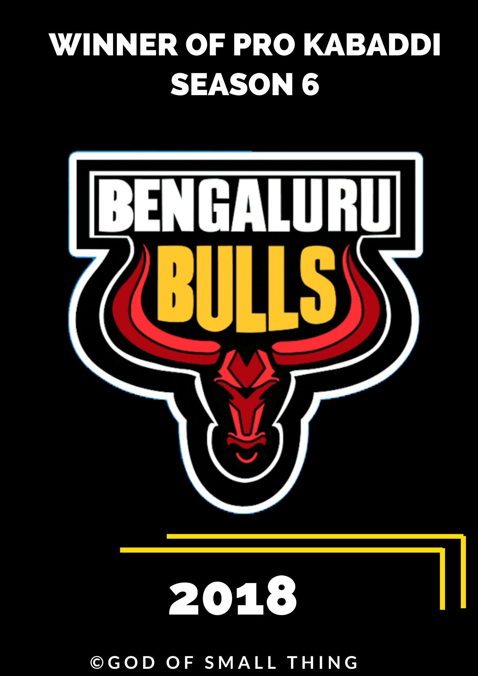 Pro Kabaddi Season 6 Winners Bengaluru Bulls