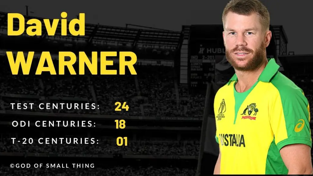 David Warner Centuries