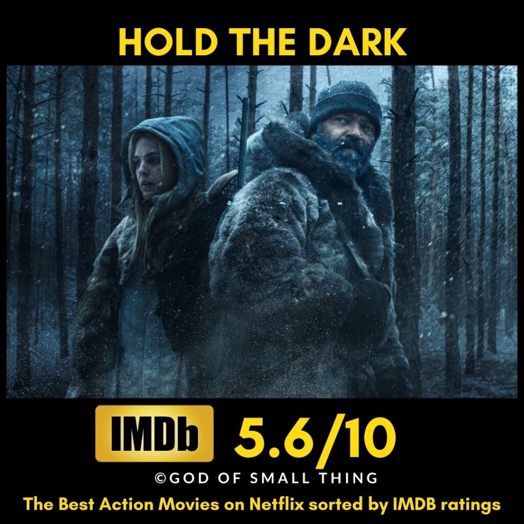 Best action movies on Netflix Hold the Dark