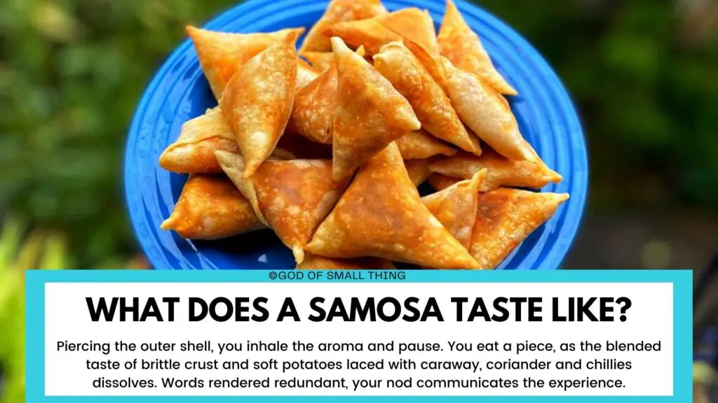 Samosa review