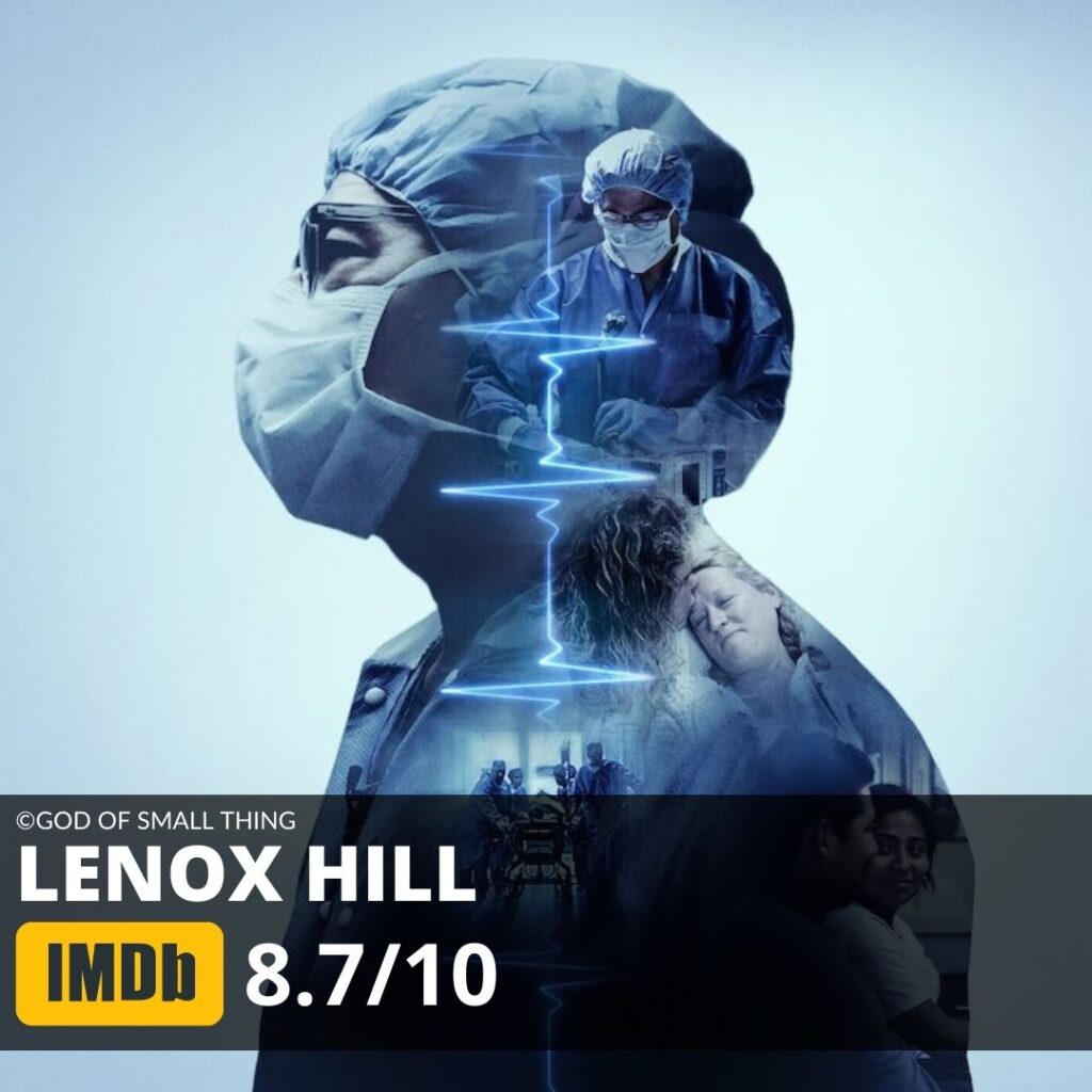 Best Netflix Series Lenox Hill