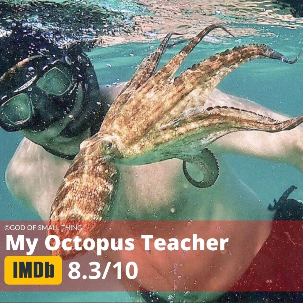 Best Documentaries to watch My Octopus Teacher