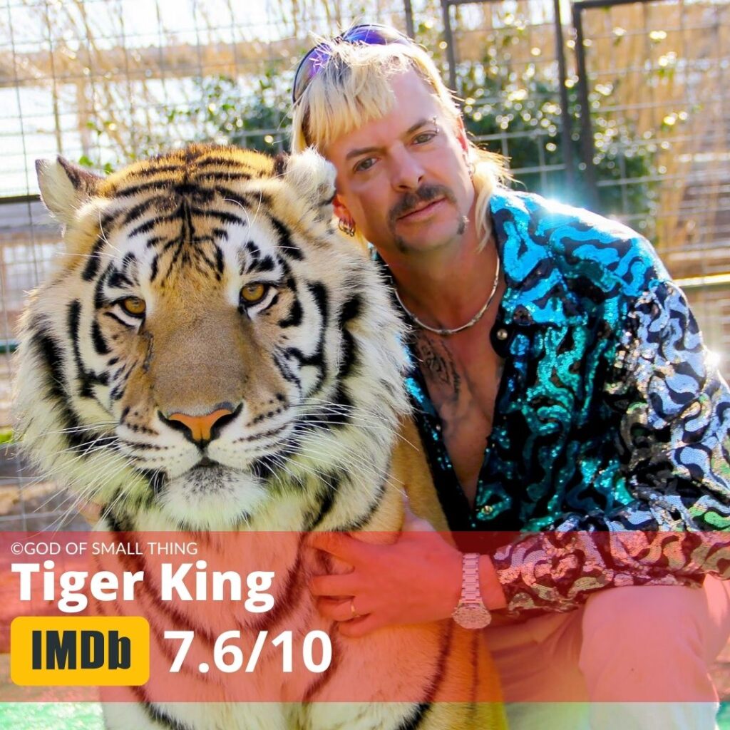 Netflix Documentaries Tiger King