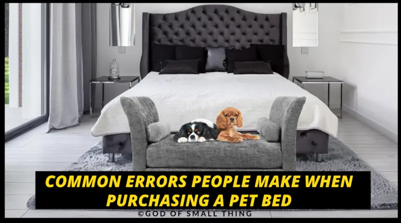 Tips to buy Dog Bed