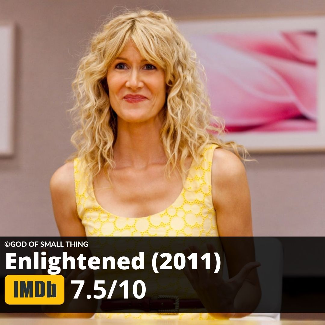 Best tv shows to watch Enlightened (2011)