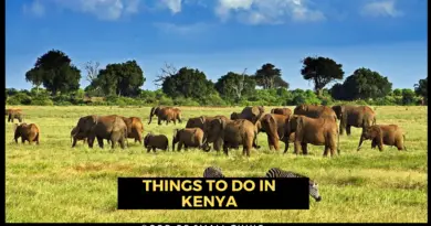 Best Things To Do In Kenya