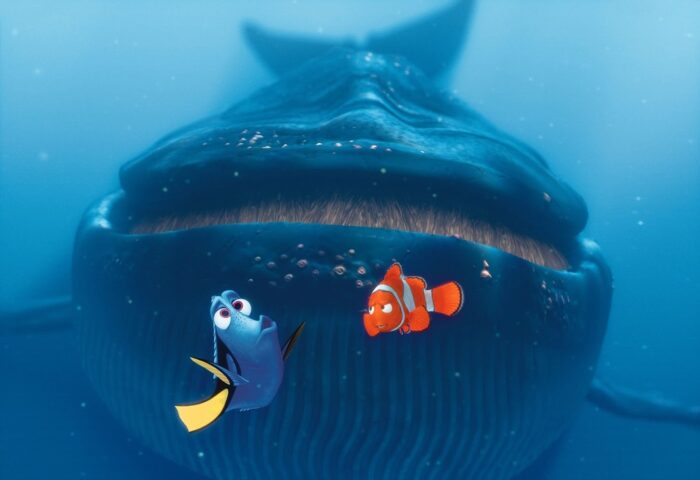 Finding Nemo Animated Movie