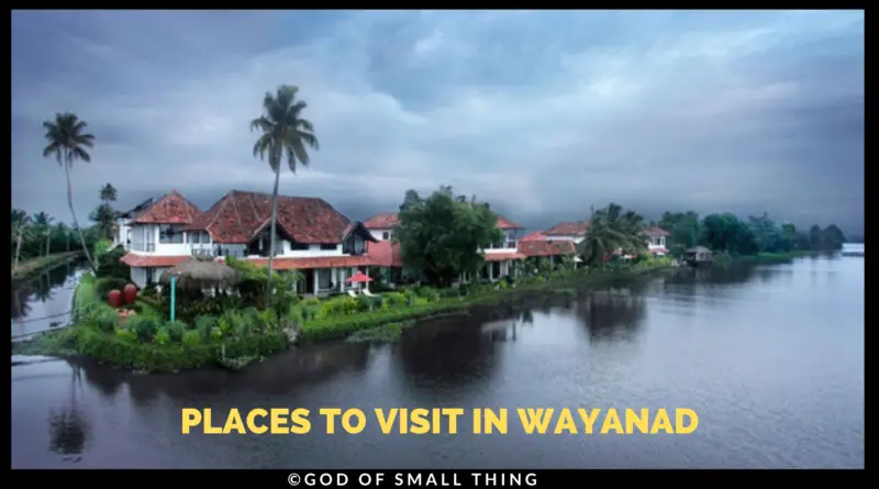 Wayanad - Complete Travel Guide