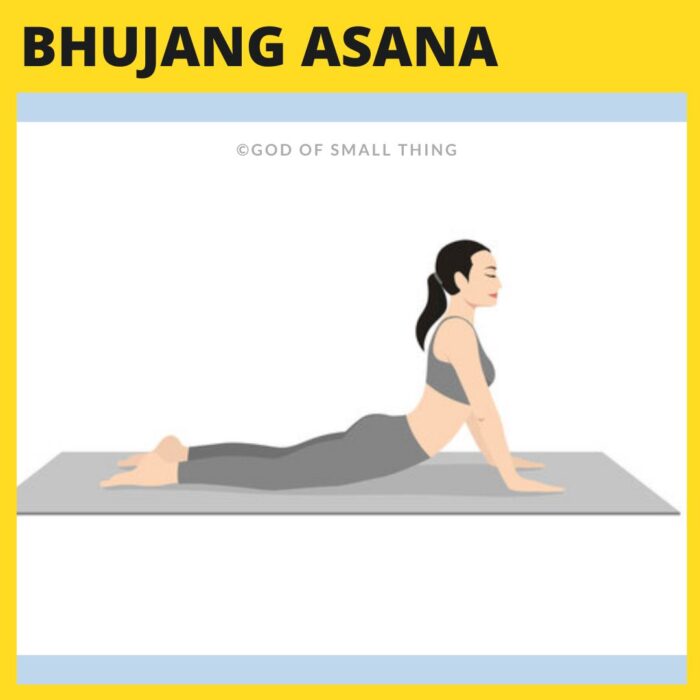 Bhujang asana For Weight Loss