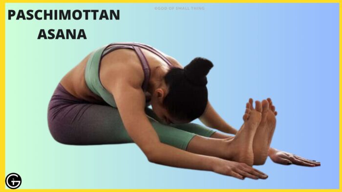 Paschimottan asana yoga exercise