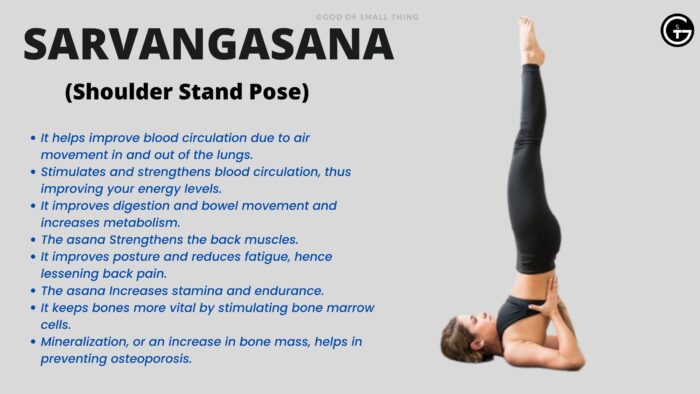 Sarvangasana yoga pose for weight loss