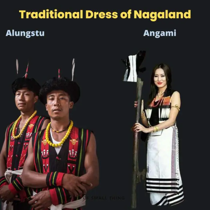 Traditional Dress of Nagaland