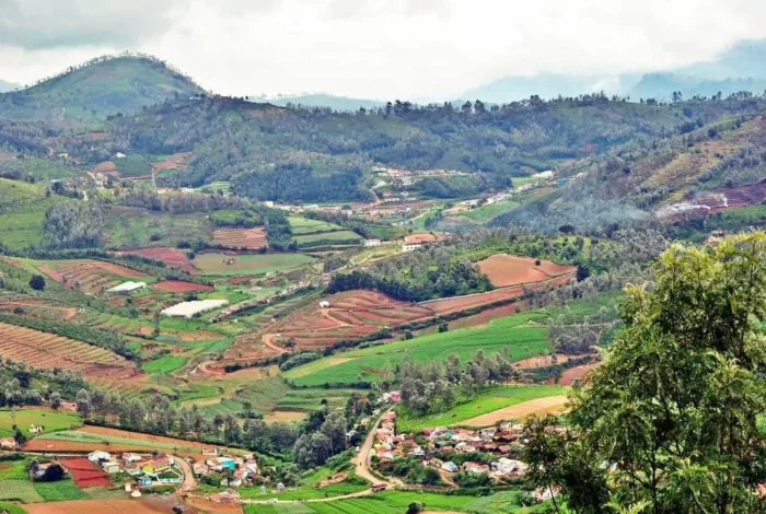 Best Road trips in india Bangalore to Ooty